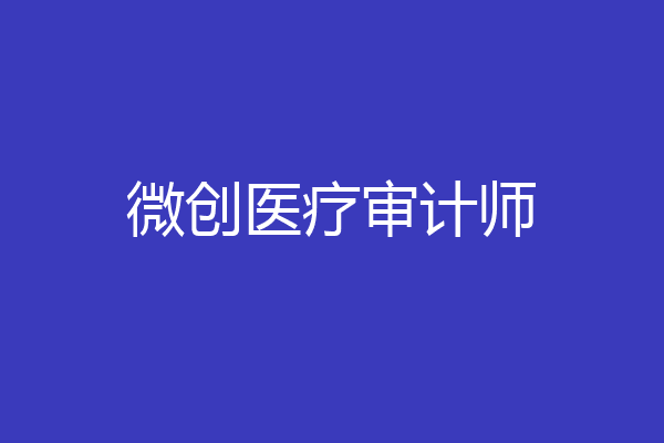 微创医疗审计师
