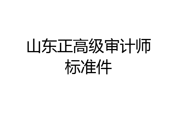 山东正高级审计师标准件