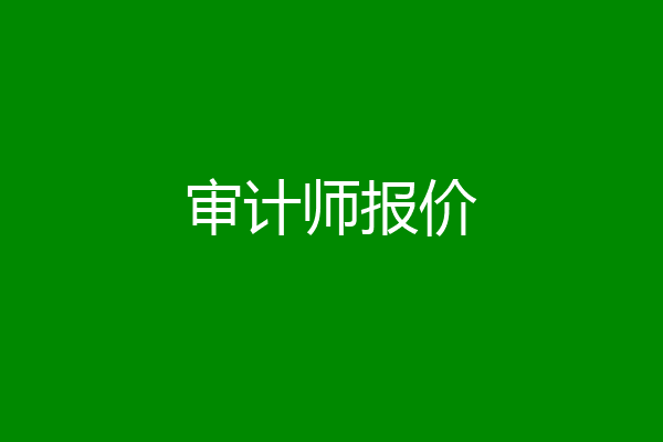 审计师报价