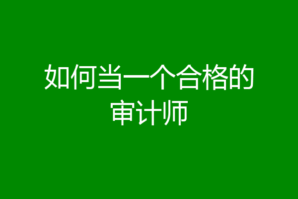 如何当一个合格的审计师