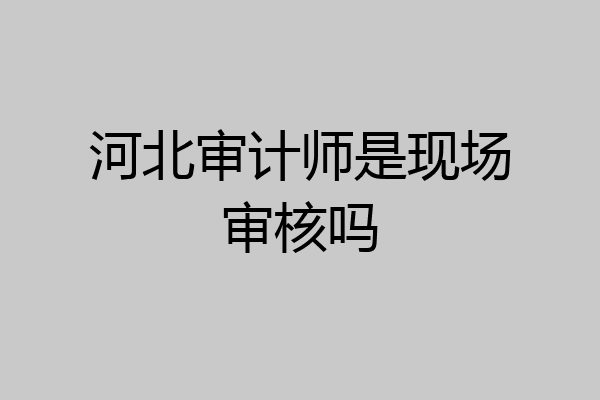 河北审计师是现场审核吗