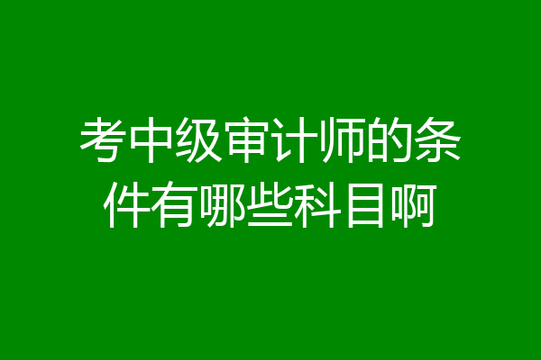 考中级审计师的条件有哪些科目啊