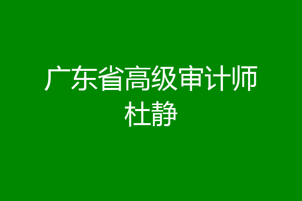 广东省高级审计师杜静