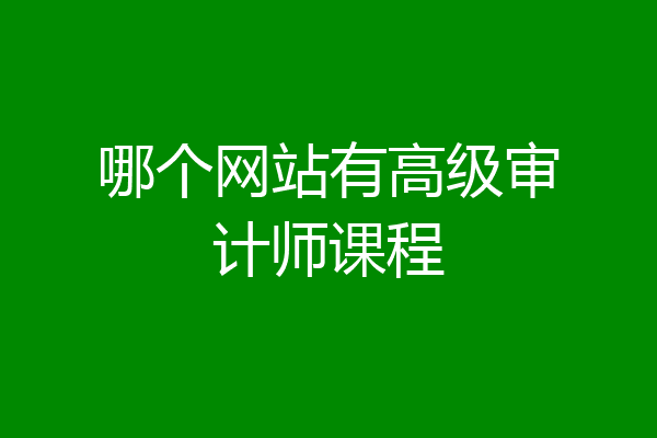 哪个网站有高级审计师课程