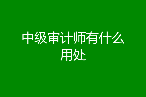中级审计师有什么用处