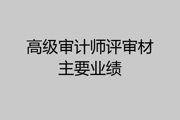 高级审计师评审材主要业绩