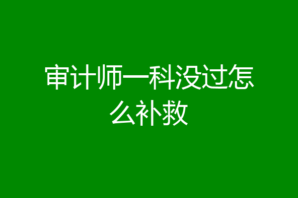 审计师一科没过怎么补救