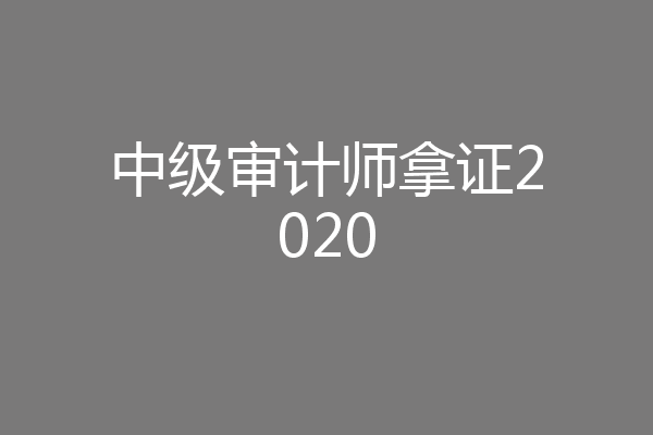中级审计师拿证2020