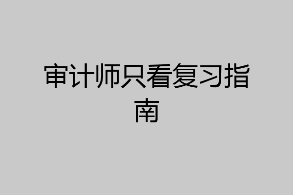 审计师只看复习指南