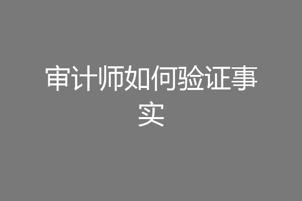 审计师如何验证事实