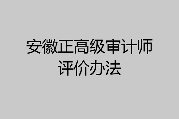 安徽正高级审计师评价办法