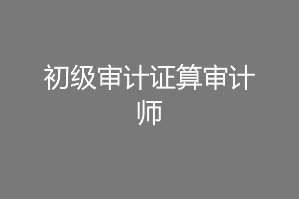 初级审计证算审计师