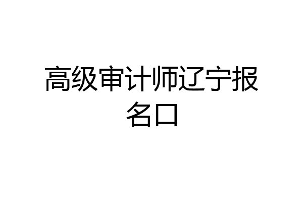 高级审计师辽宁报名口