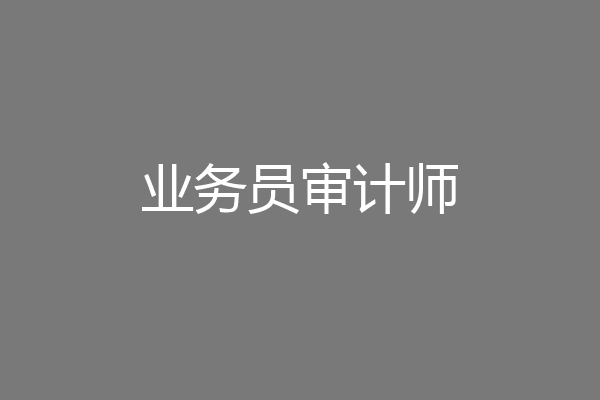 业务员审计师