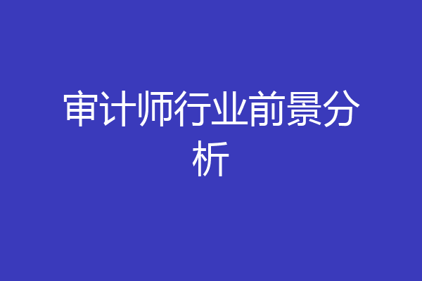 审计师行业前景分析