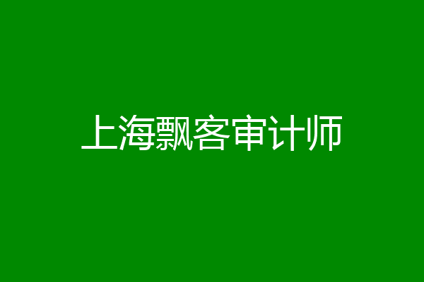 上海飘客审计师