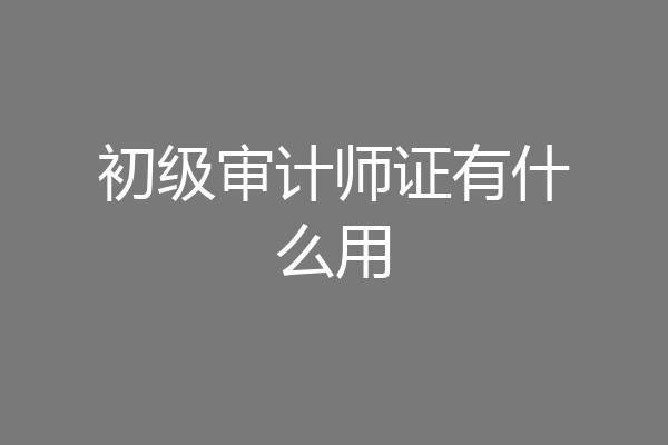 初级审计师证有什么用