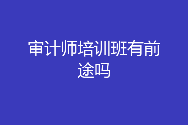 审计师培训班有前途吗