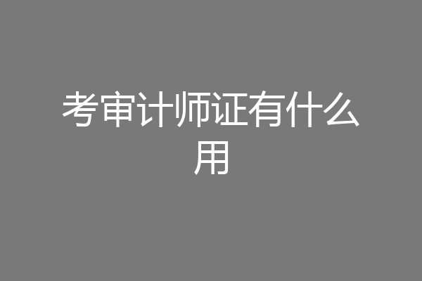 考审计师证有什么用
