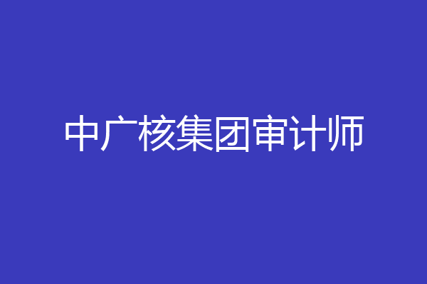 中广核集团审计师