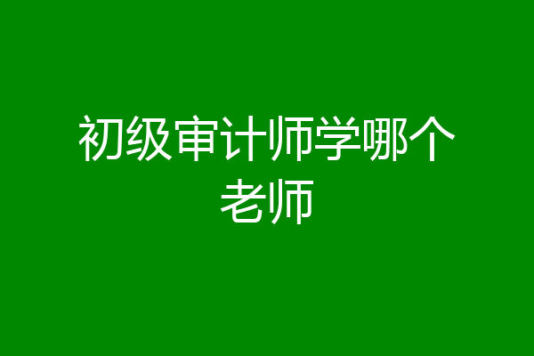 初级审计师学哪个老师