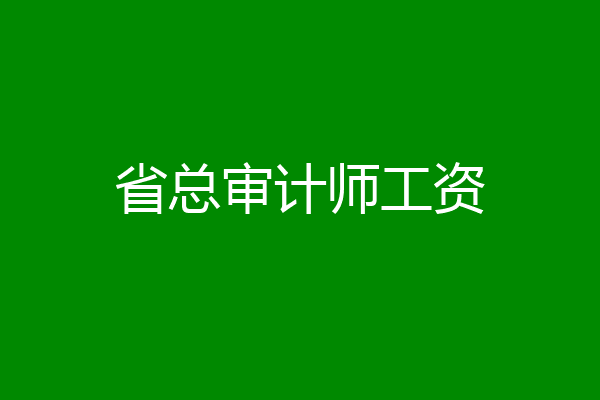 省总审计师工资