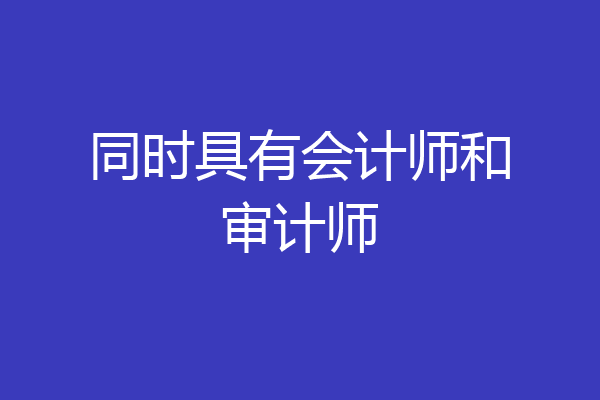 同时具有会计师和审计师