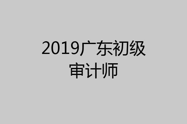 2019广东初级审计师