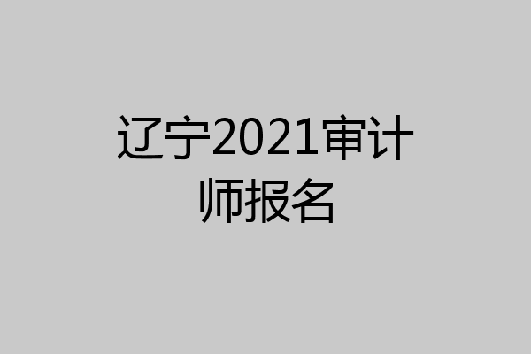 辽宁2021审计师报名