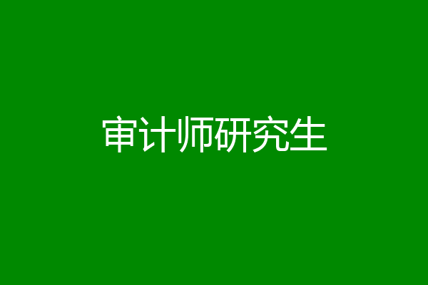 审计师研究生
