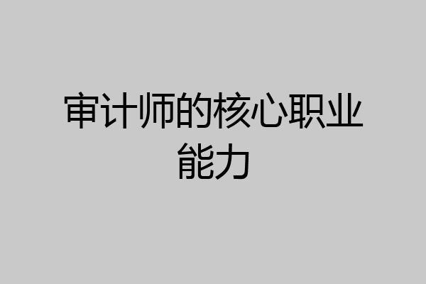 审计师的核心职业能力