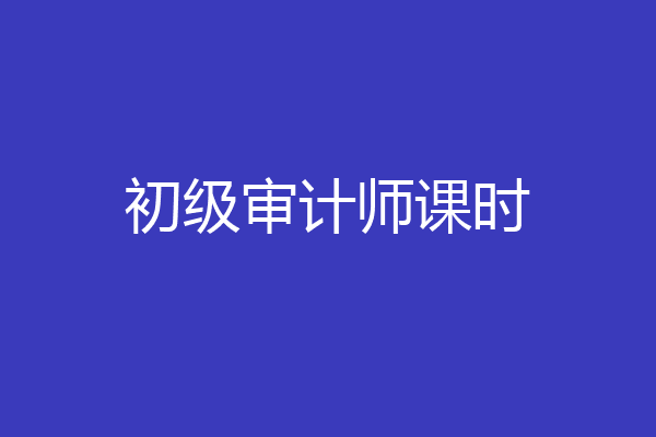 初级审计师课时