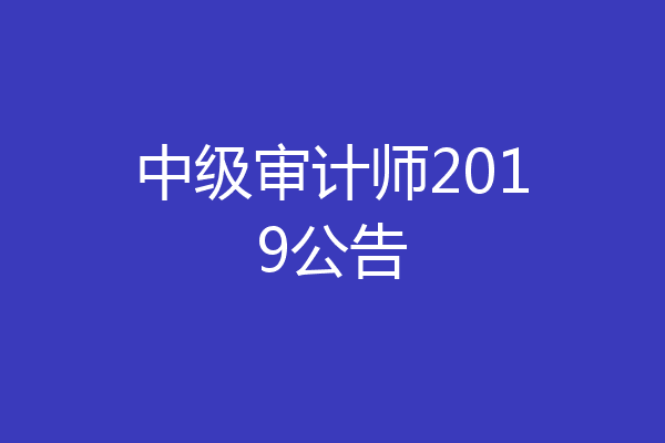 中级审计师2019公告
