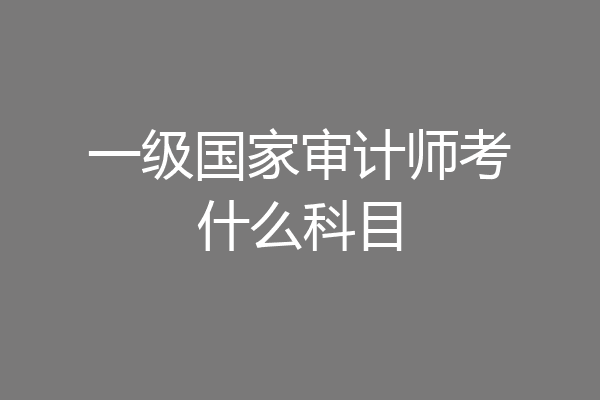 一级国家审计师考什么科目