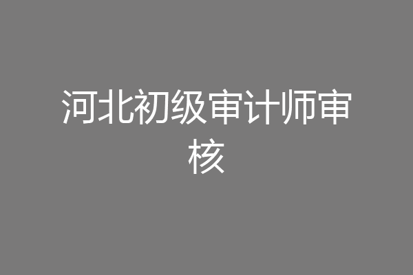 河北初级审计师审核