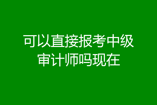 可以直接报考中级审计师吗现在