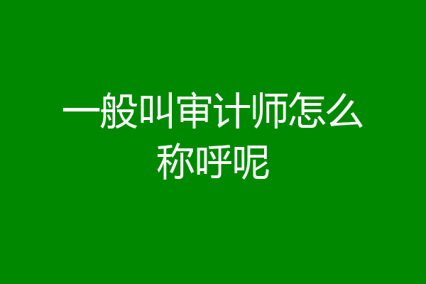一般叫审计师怎么称呼呢