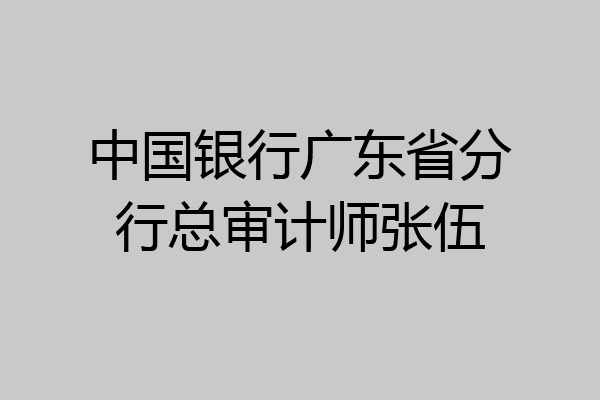 中国银行广东省分行总审计师张伍