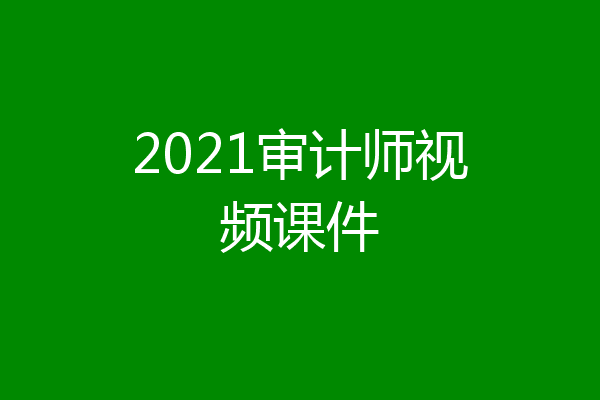 2021审计师视频课件
