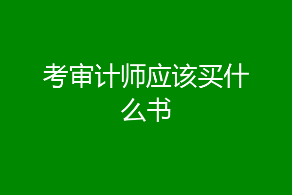 考审计师应该买什么书