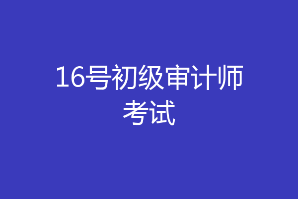 16号初级审计师考试