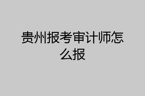 贵州报考审计师怎么报