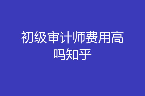 初级审计师费用高吗知乎