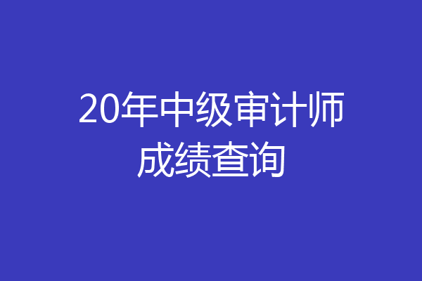 20年中级审计师成绩查询