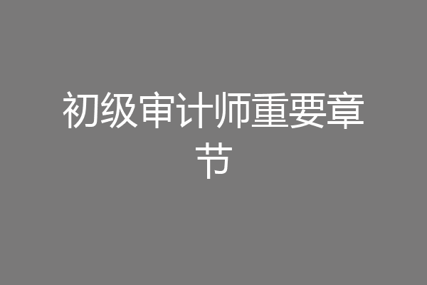 初级审计师重要章节