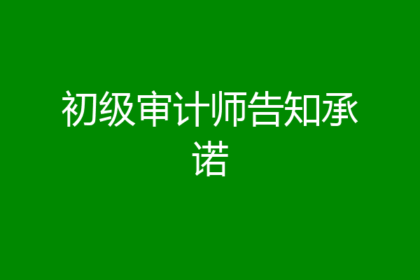 初级审计师告知承诺