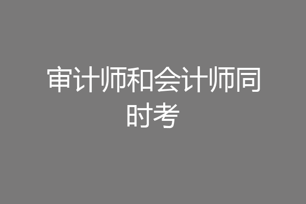 审计师和会计师同时考