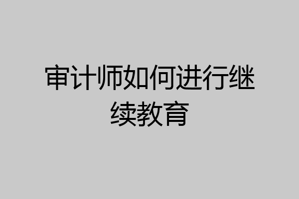 审计师如何进行继续教育