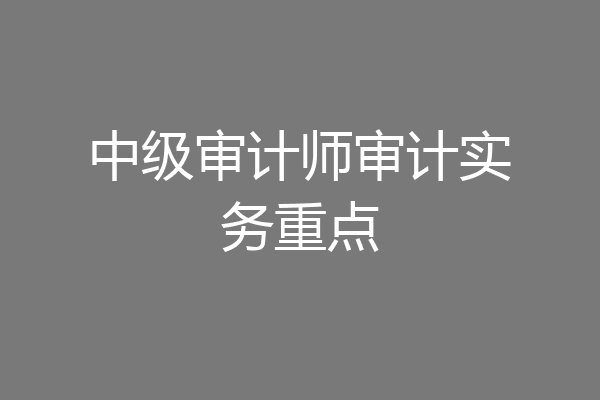 中级审计师审计实务重点