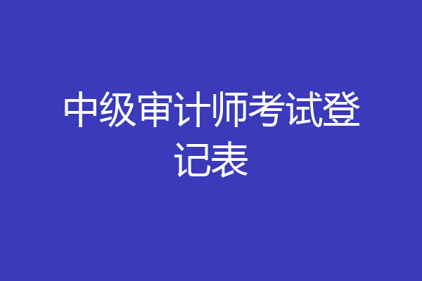 中级审计师考试登记表